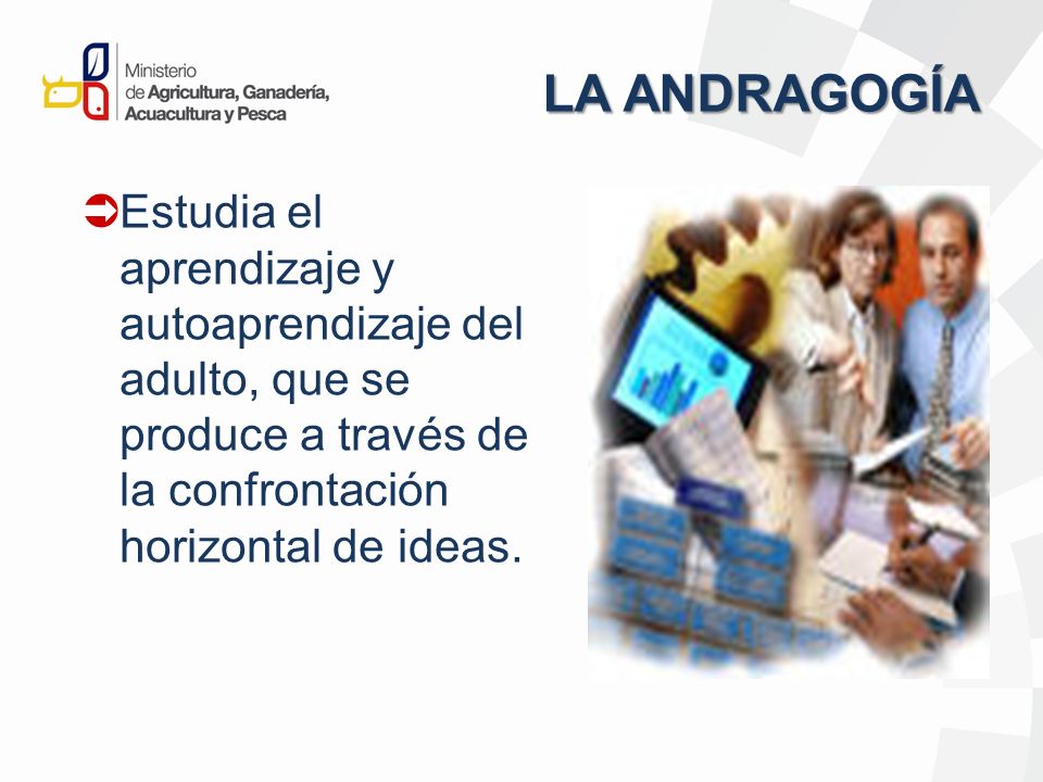 LA ANDRAGOGÍA Estudia el aprendizaje y autoaprendizaje del adulto, que se produce a través de la confrontación horizontal de ideas.