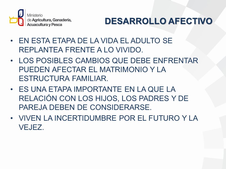 DESARROLLO AFECTIVO EN ESTA ETAPA DE LA VIDA EL ADULTO SE REPLANTEA FRENTE A LO VIVIDO.