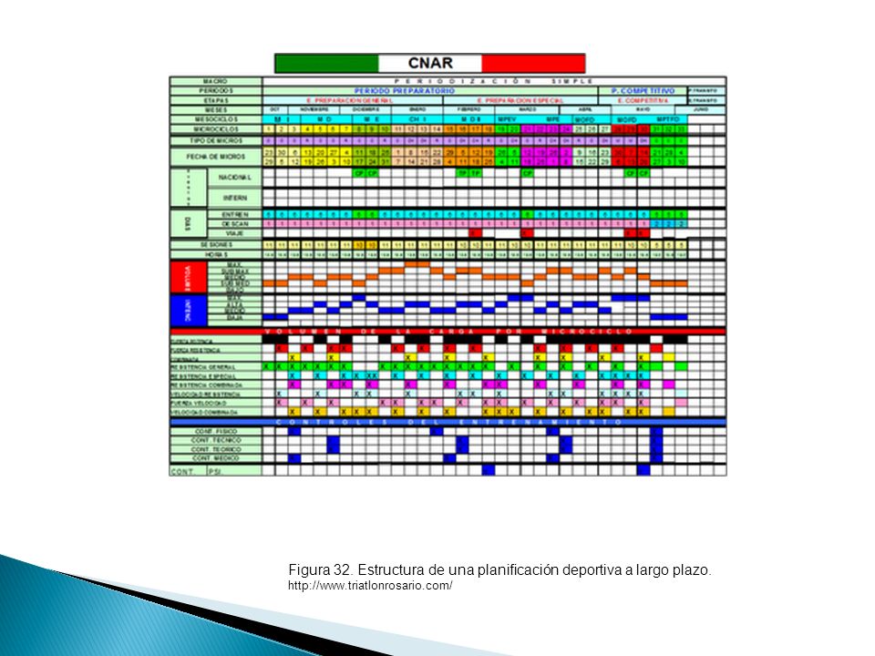Figura 32. Estructura de una planificación deportiva a largo plazo.