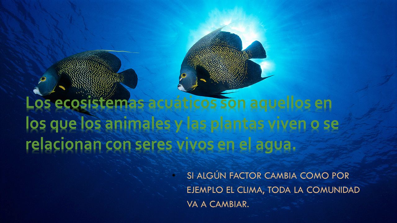 Si algún factor cambia como por ejemplo el clima, toda la comunidad va a cambiar.