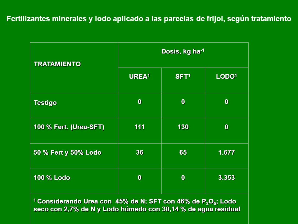Fertilizantes minerales y lodo aplicado a las parcelas de frijol, según tratamiento
