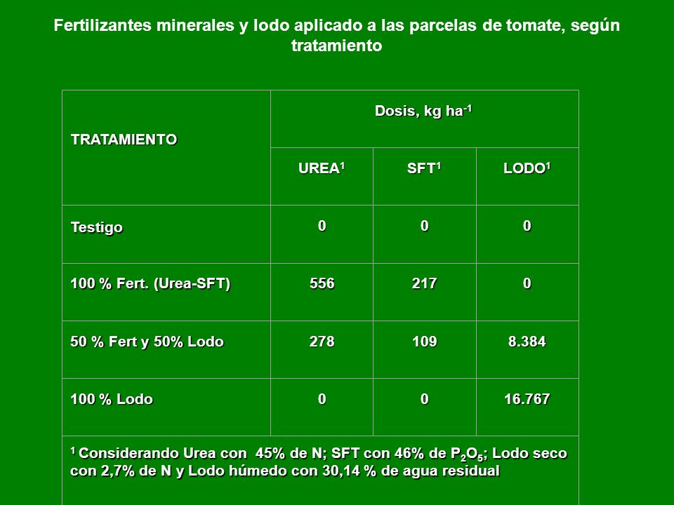 Fertilizantes minerales y lodo aplicado a las parcelas de tomate, según tratamiento