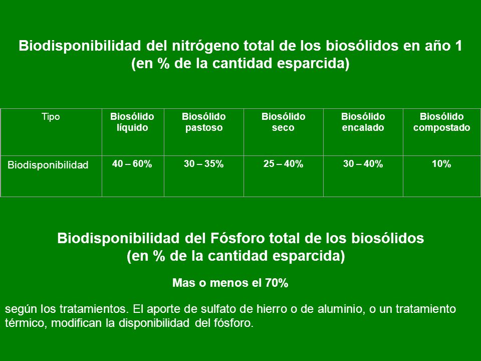Biodisponibilidad del nitrógeno total de los biosólidos en año 1