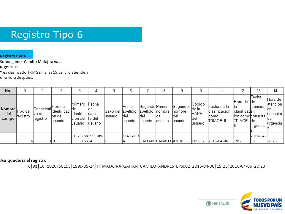 Registro Tipo 6 Así quedaría el registro