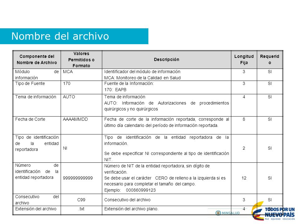 Componente del Nombre de Archivo Valores Permitidos o Formato
