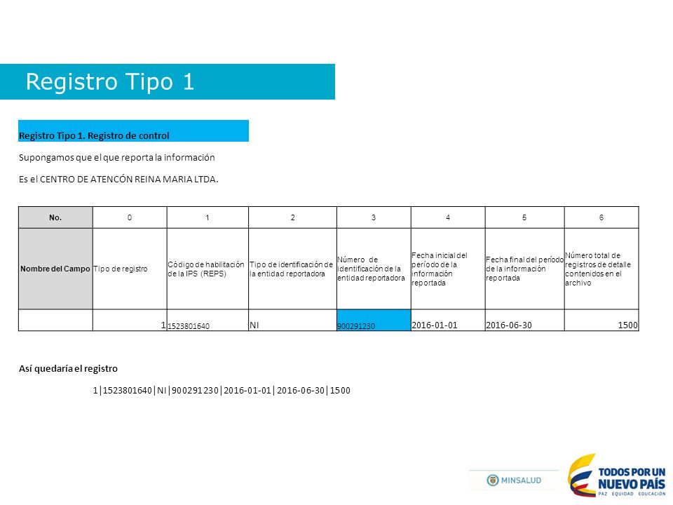 Registro Tipo 1 Registro Tipo 1. Registro de control