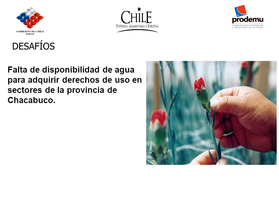 DESAFÍOS Falta de disponibilidad de agua para adquirir derechos de uso en sectores de la provincia de Chacabuco.