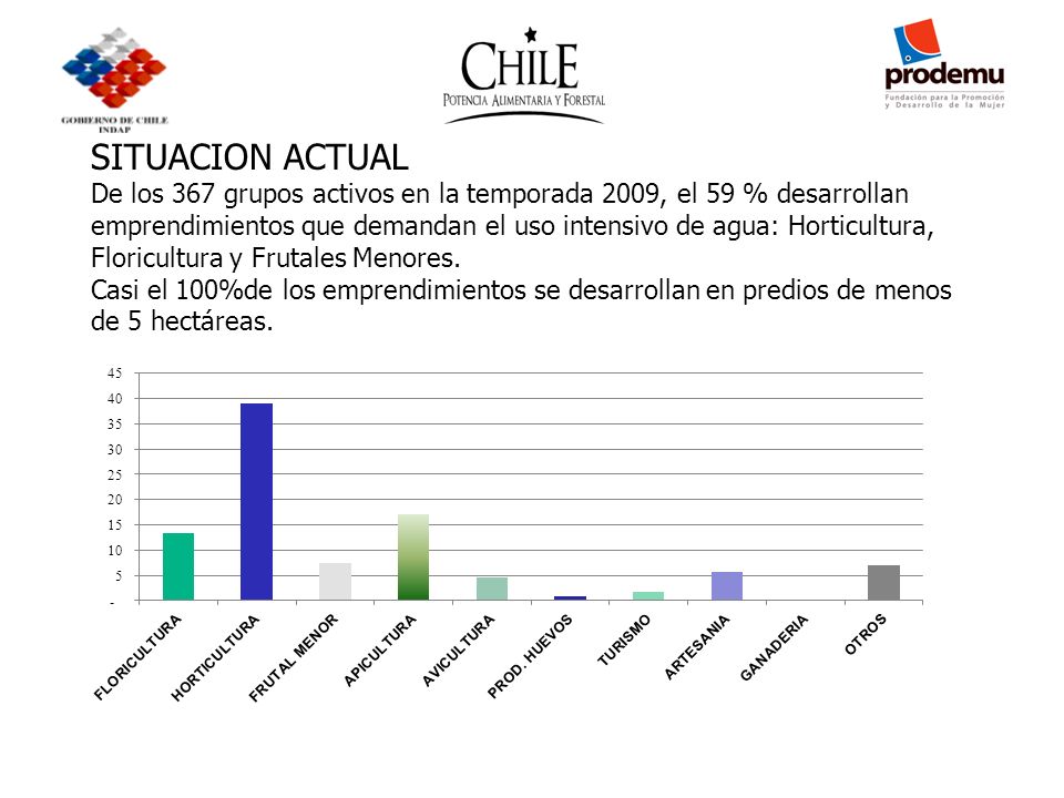 SITUACION ACTUAL De los 367 grupos activos en la temporada 2009, el 59 % desarrollan emprendimientos que demandan el uso intensivo de agua: Horticultura, Floricultura y Frutales Menores.