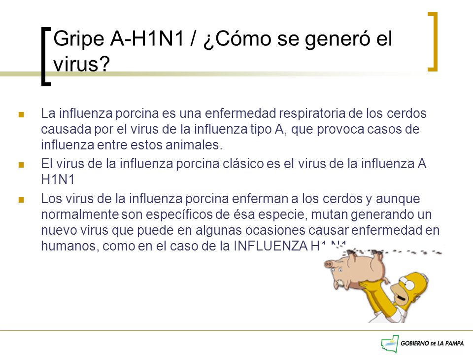 Gripe A-H1N1 / ¿Cómo se generó el virus