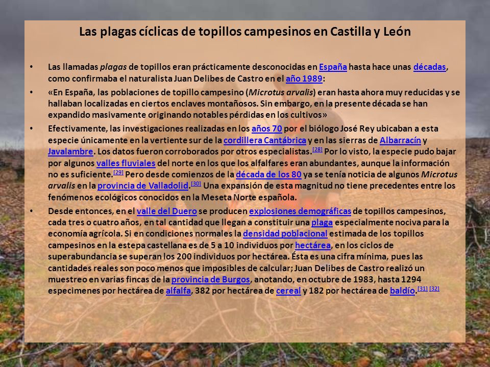 Las plagas cíclicas de topillos campesinos en Castilla y León