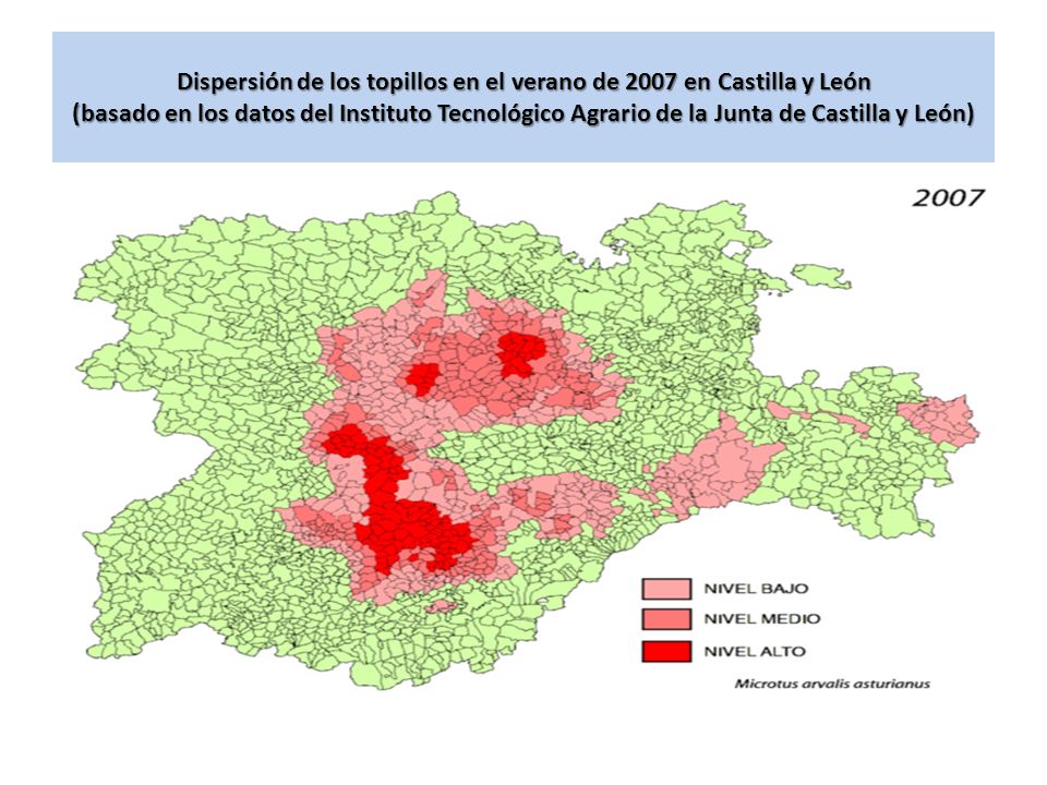 Dispersión de los topillos en el verano de 2007 en Castilla y León (basado en los datos del Instituto Tecnológico Agrario de la Junta de Castilla y León)