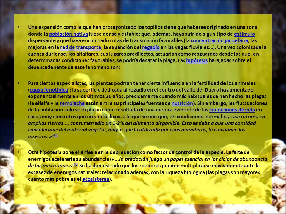 Una expansión como la que han protagonizado los topillos tiene que haberse originado en una zona donde la población nativa fuese densa y estable; que, además, haya sufrido algún tipo de estímulo dispersante y que haya encontrado rutas de transmisión favorables (la concentración parcelaria, las mejoras en la red de transporte, la expansión del regadío en las vegas fluviales…). Una vez colonizada la cuenca duriense, los alfalfares, sus lugares predilectos, actuarían como resguardos desde los que, en determinadas condiciones favorables, se podría desatar la plaga. Las hipótesis barajadas sobre el desencadenante de este fenómeno son:
