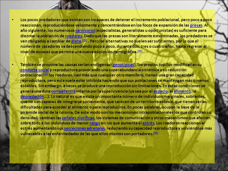 Los pocos predadores que existen son incapaces de detener el incremento poblacional, pero poco a poco reaccionan, reproduciéndose velozmente y concentrándose en los focos de expansión de las presas. Al año siguiente, los numerosos carnívoros (especialistas, generalistas u oportunistas) es suficiente para diezmar la población de roedores. Dado que las presas son literalmente exterminadas, los predadores se ven obligados a cambiar de dieta.[43] . Pero las alternativas no suelen ser suficientes, por lo que el número de cazadores va descendiendo poco a poco, durante dos, tres o cuatro años, hasta regresar al nivel de escasez que permite una nueva explosión demográfica.[44]