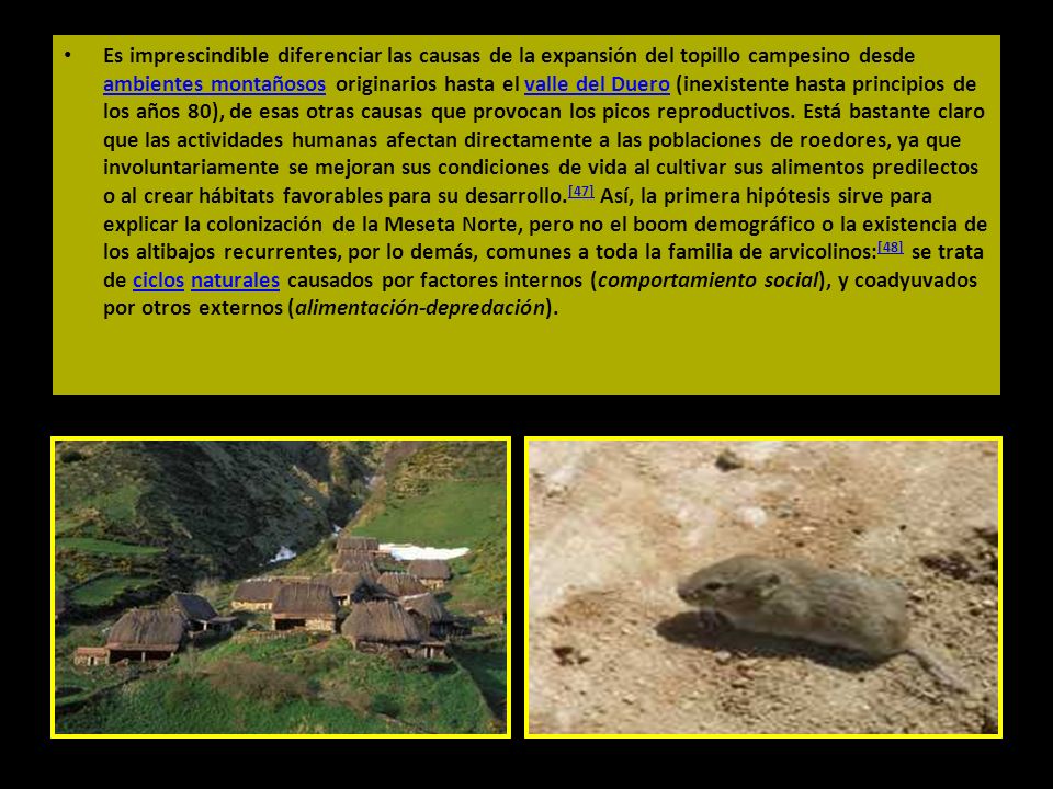 Es imprescindible diferenciar las causas de la expansión del topillo campesino desde ambientes montañosos originarios hasta el valle del Duero (inexistente hasta principios de los años 80), de esas otras causas que provocan los picos reproductivos.