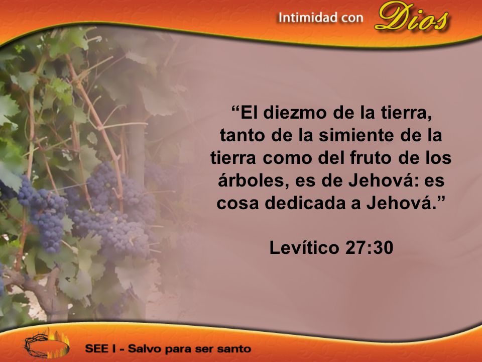 El diezmo de la tierra, tanto de la simiente de la tierra como del fruto de los árboles, es de Jehová: es cosa dedicada a Jehová.