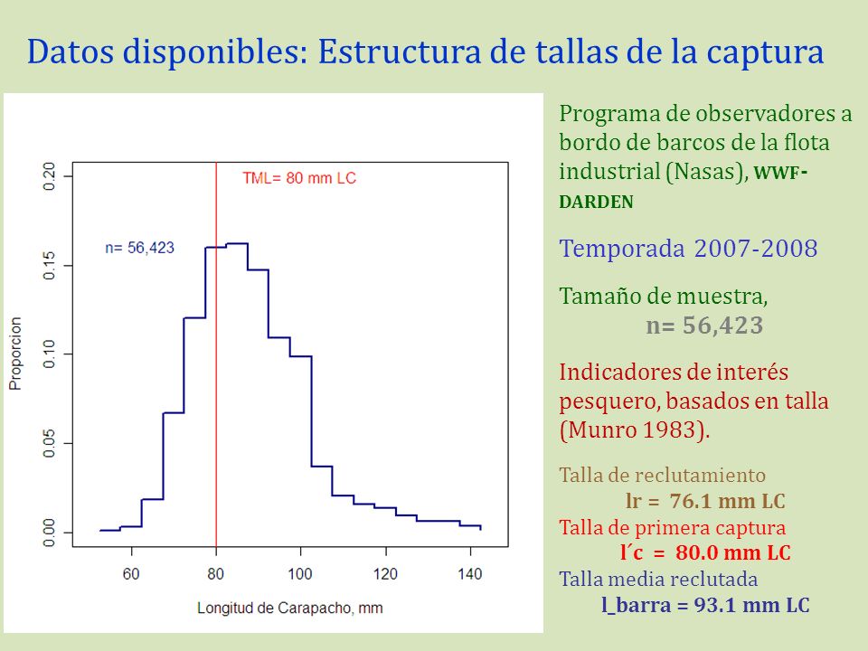 Datos disponibles: Estructura de tallas de la captura