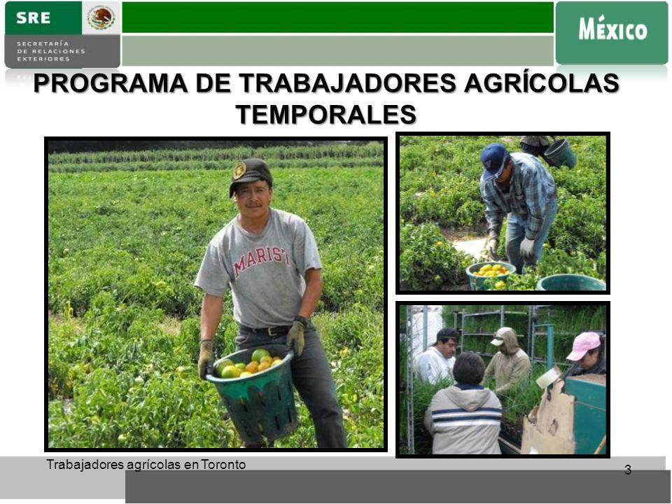 PROGRAMA DE TRABAJADORES AGRÍCOLAS TEMPORALES