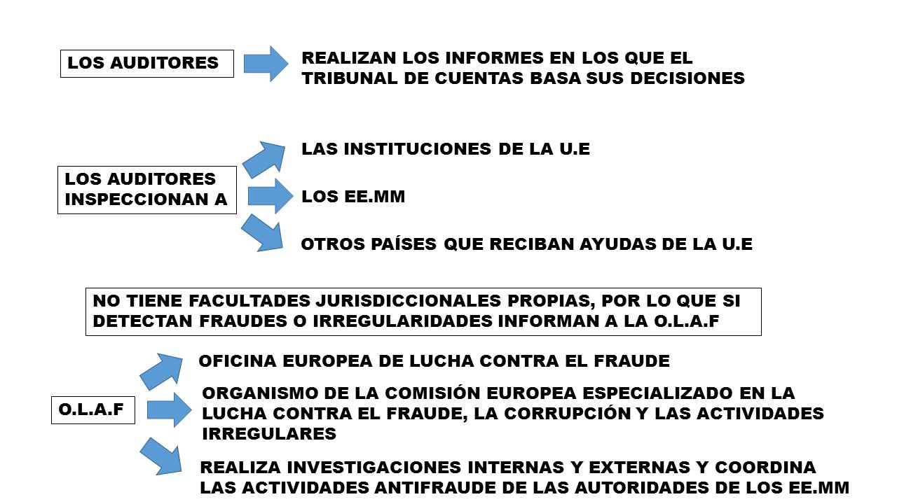 REALIZAN LOS INFORMES EN LOS QUE EL TRIBUNAL DE CUENTAS BASA SUS DECISIONES