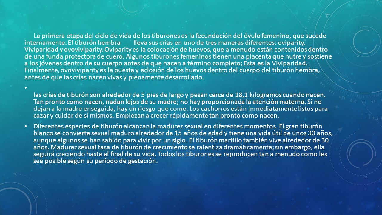 La primera etapa del ciclo de vida de los tiburones es la fecundación del óvulo femenino, que sucede internamente. El tiburón hembra lleva sus crías en uno de tres maneras diferentes: oviparity, Viviparidad y ovoviviparity. Oviparity es la colocación de huevos, que a menudo están contenidos dentro de una funda protectora de cuero. Algunos tiburones femeninos tienen una placenta que nutre y sostiene a los jóvenes dentro de su cuerpo antes de que nacen a término completo; Esta es la Viviparidad. Finalmente, ovoviviparity es la puesta y eclosión de los huevos dentro del cuerpo del tiburón hembra, antes de que las crías nacen vivas y plenamente desarrollado.