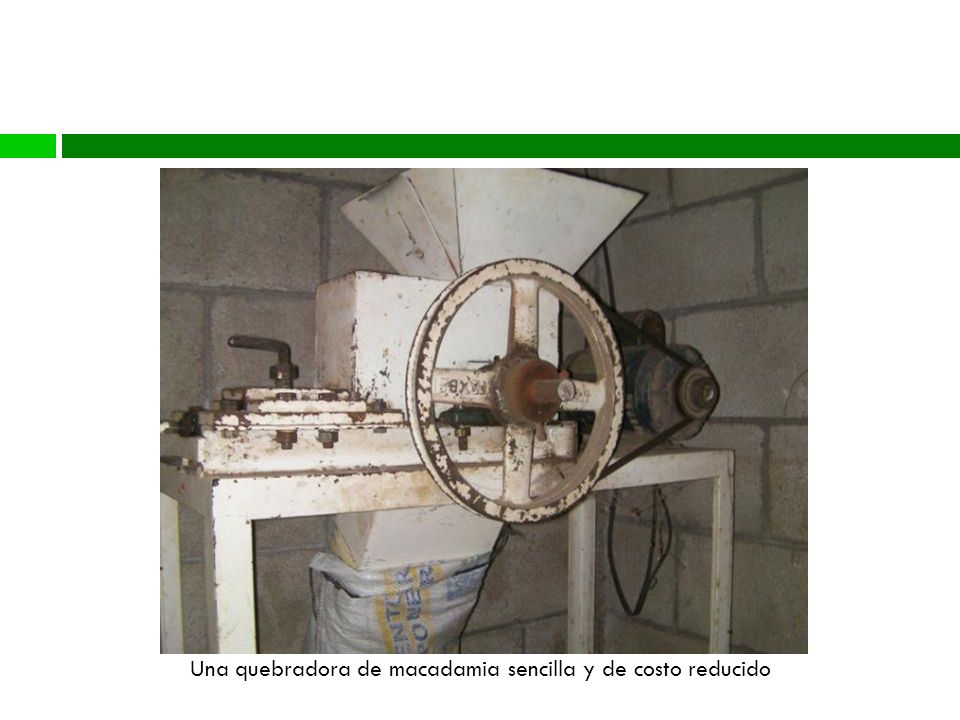 Una quebradora de macadamia sencilla y de costo reducido