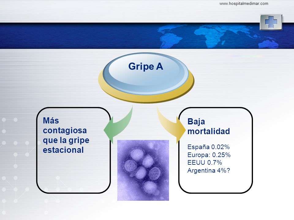 Gripe A Más contagiosa que la gripe estacional Baja mortalidad