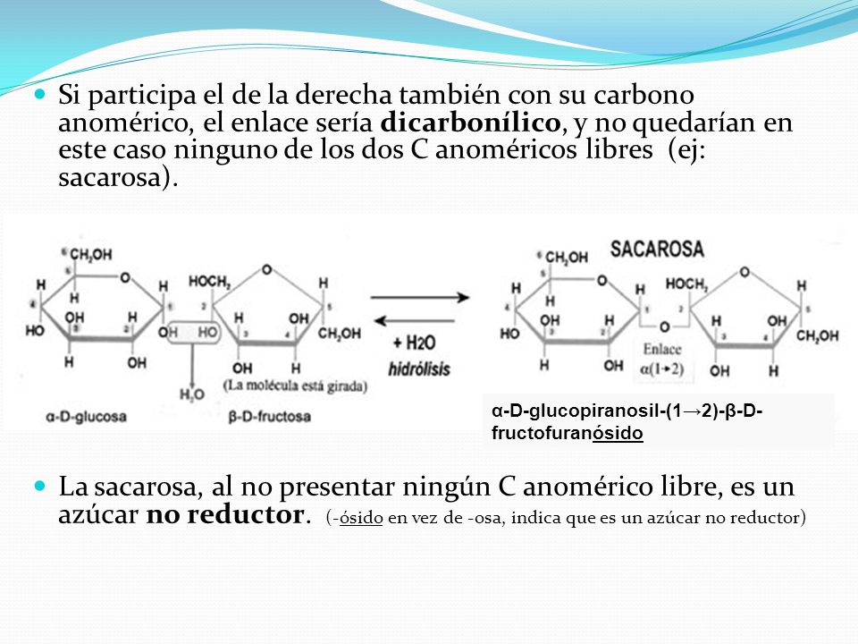 Si participa el de la derecha también con su carbono anomérico, el enlace sería dicarbonílico, y no quedarían en este caso ninguno de los dos C anoméricos libres (ej: sacarosa).