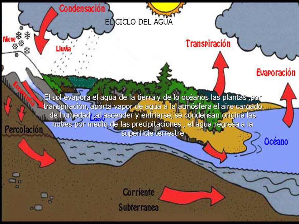 EL CICLO DEL AGUA