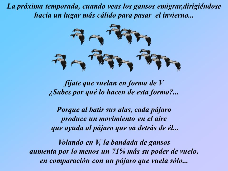 La próxima temporada, cuando veas los gansos emigrar,dirigiéndose hacia un lugar más cálido para pasar el invierno...