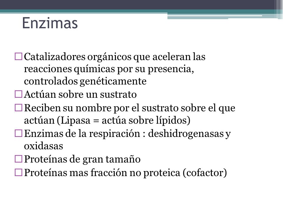 Enzimas Catalizadores orgánicos que aceleran las reacciones químicas por su presencia, controlados genéticamente.