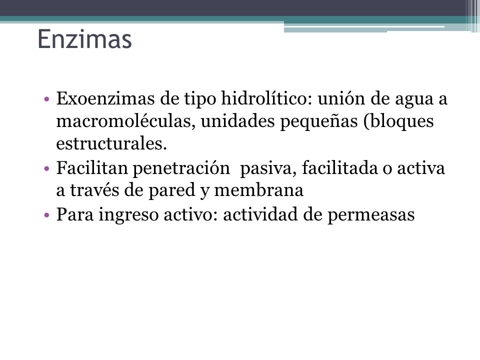Enzimas Exoenzimas de tipo hidrolítico: unión de agua a macromoléculas, unidades pequeñas (bloques estructurales.