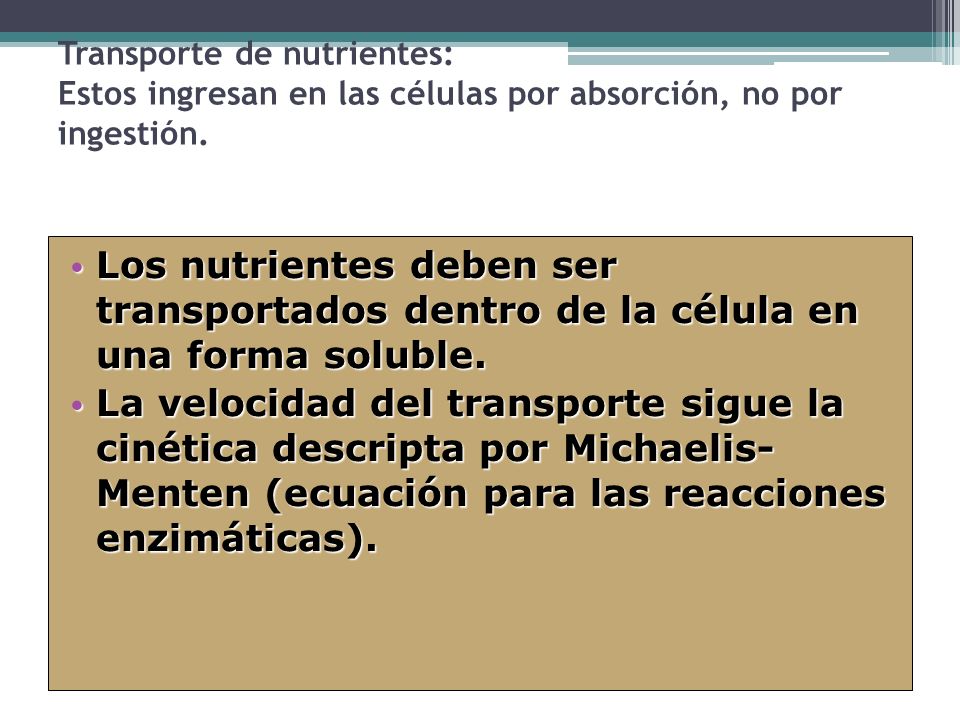 Transporte de nutrientes: Estos ingresan en las células por absorción, no por ingestión.