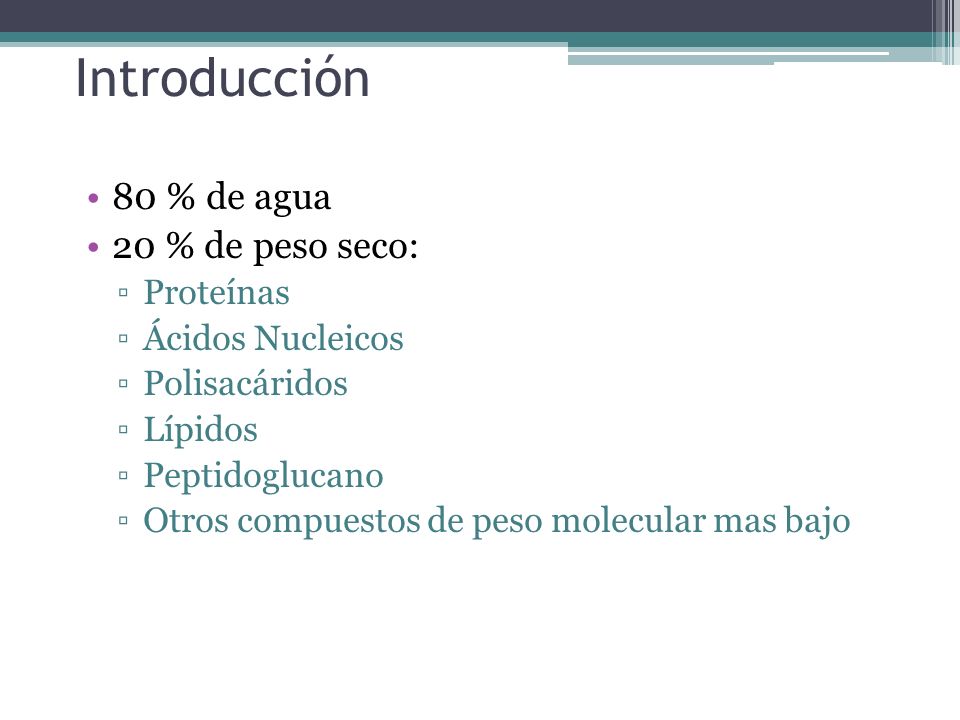 Introducción 80 % de agua 20 % de peso seco: Proteínas