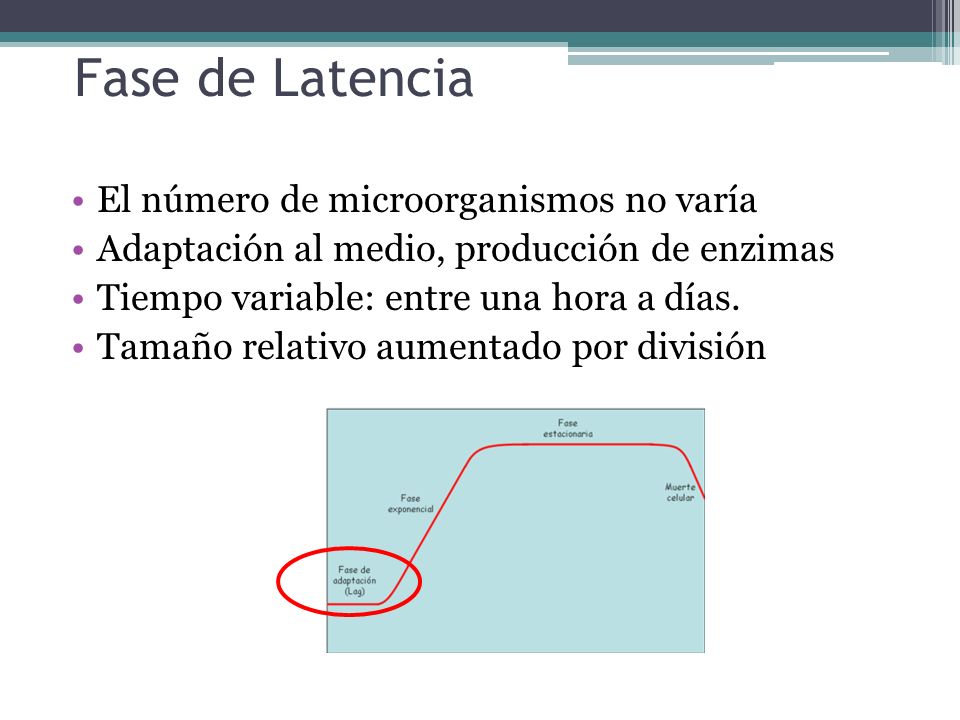 Fase de Latencia El número de microorganismos no varía