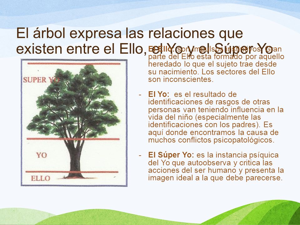 El árbol expresa las relaciones que existen entre el Ello, el Yo y el Súper Yo