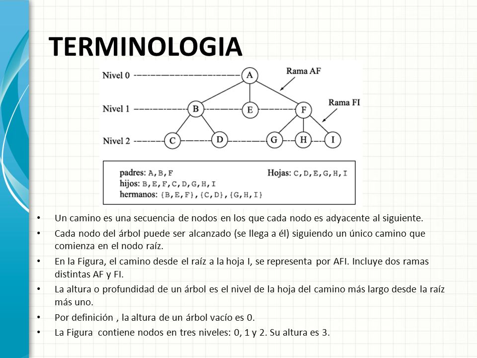 TERMINOLOGIA Un camino es una secuencia de nodos en los que cada nodo es adyacente al siguiente.