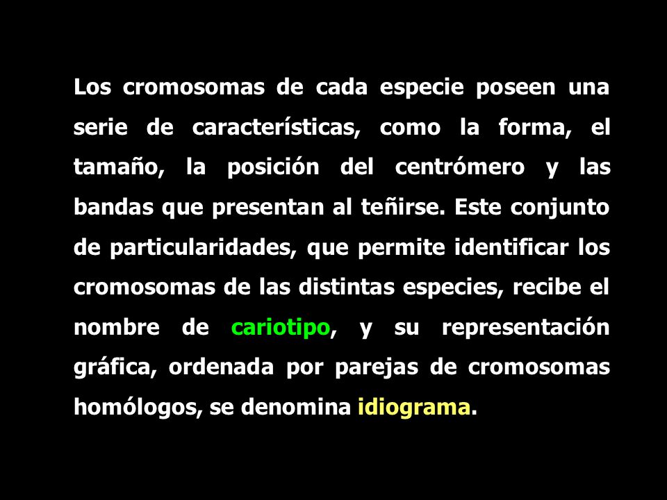Los cromosomas de cada especie poseen una serie de características, como la forma, el tamaño, la posición del centrómero y las bandas que presentan al teñirse.