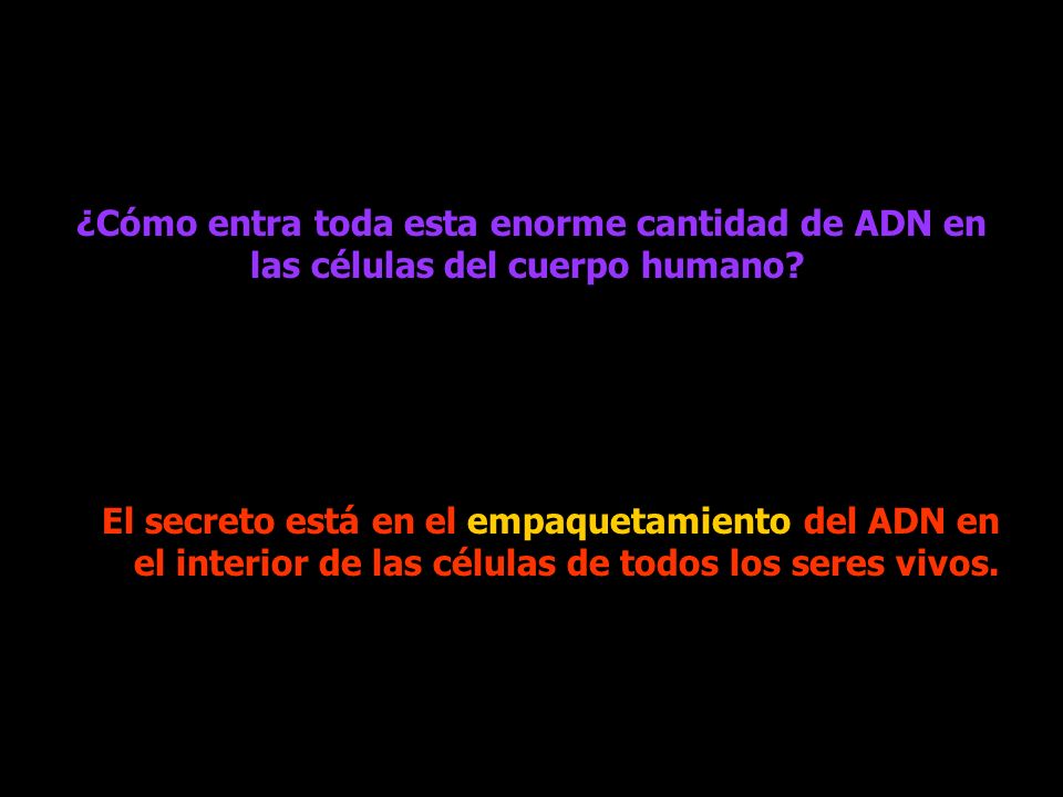 ¿Cómo entra toda esta enorme cantidad de ADN en las células del cuerpo humano