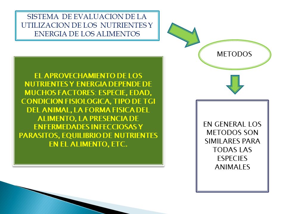 EN GENERAL LOS METODOS SON SIMILARES PARA TODAS LAS ESPECIES ANIMALES