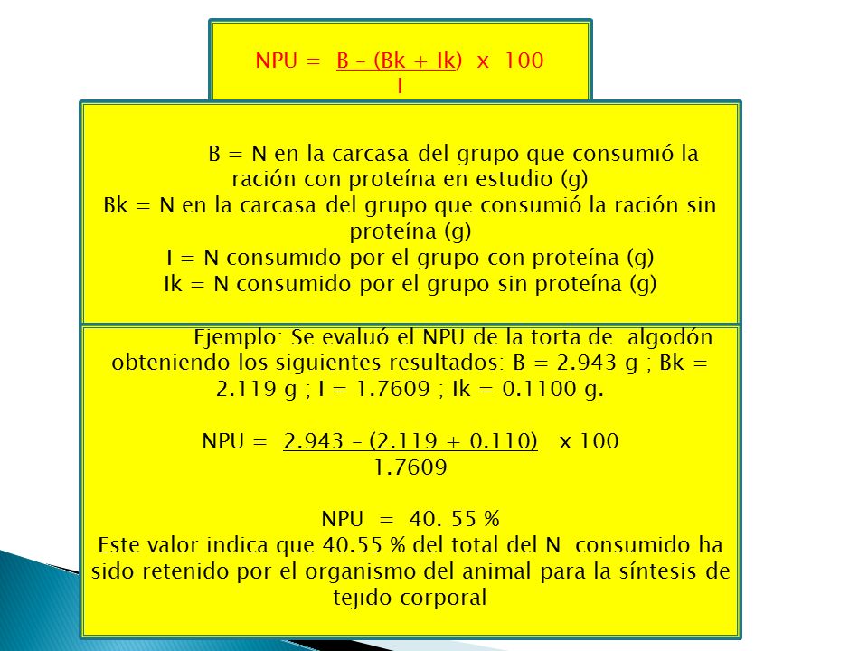 Bk = N en la carcasa del grupo que consumió la ración sin proteína (g)