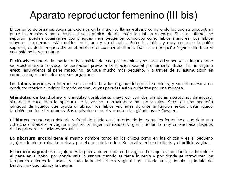 Aparato reproductor femenino (III bis)