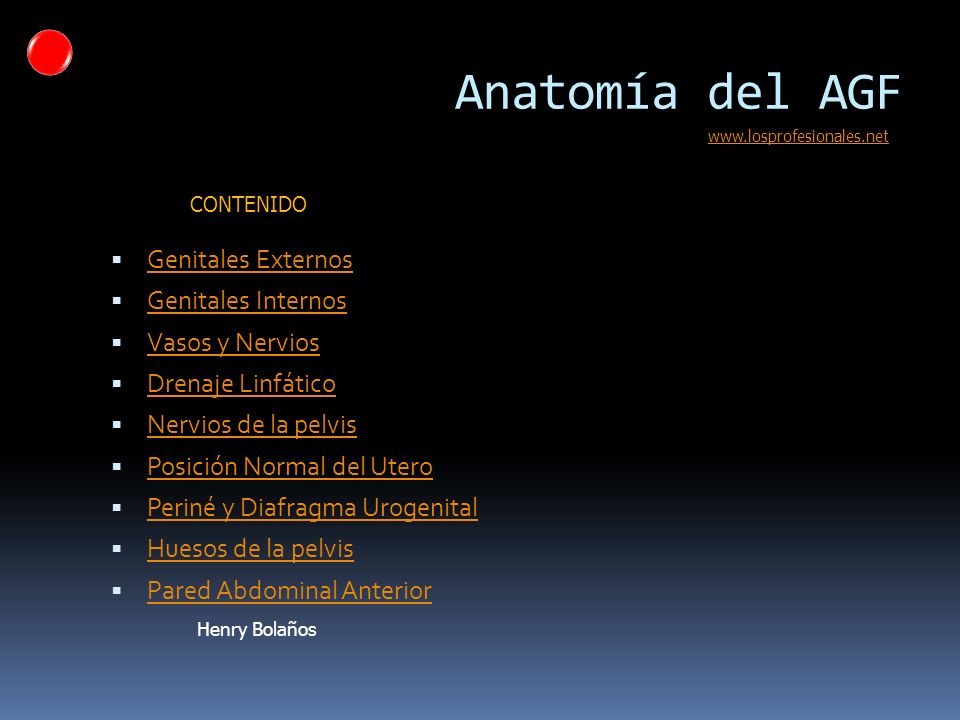 Anatomía del AGF Genitales Externos Genitales Internos Vasos y Nervios