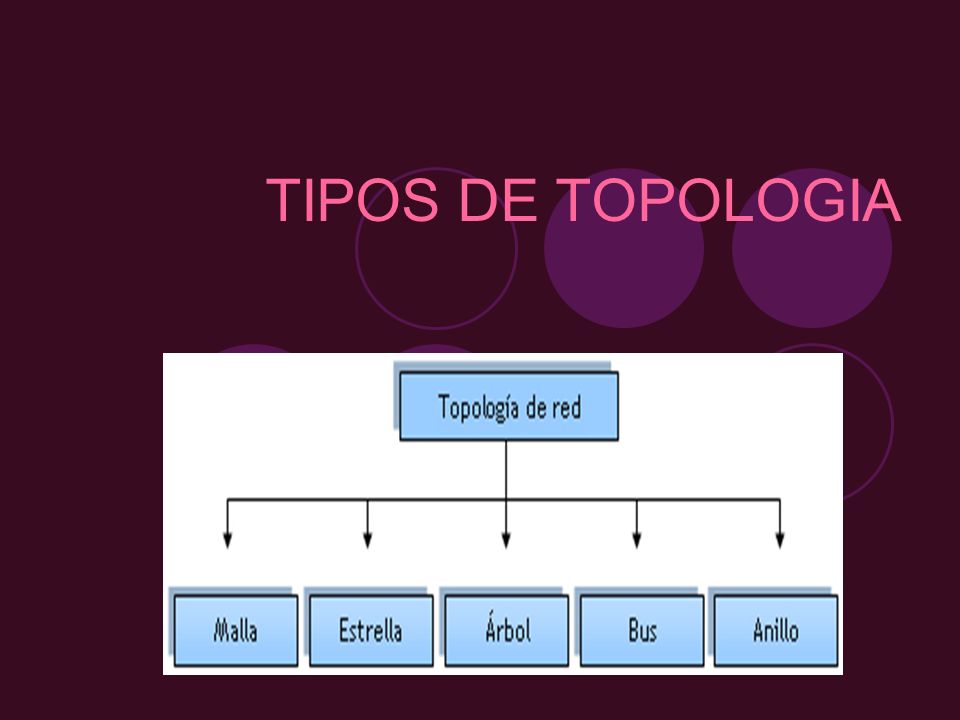 TIPOS DE TOPOLOGIA