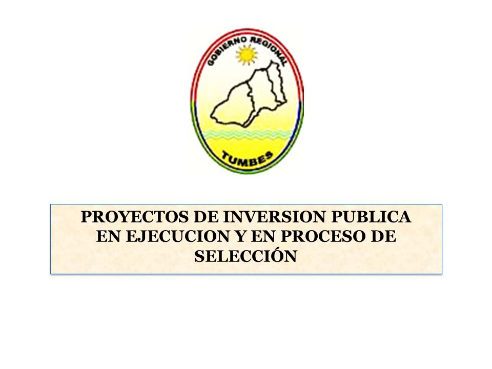 PROYECTOS DE INVERSION PUBLICA EN EJECUCION Y EN PROCESO DE SELECCIÓN