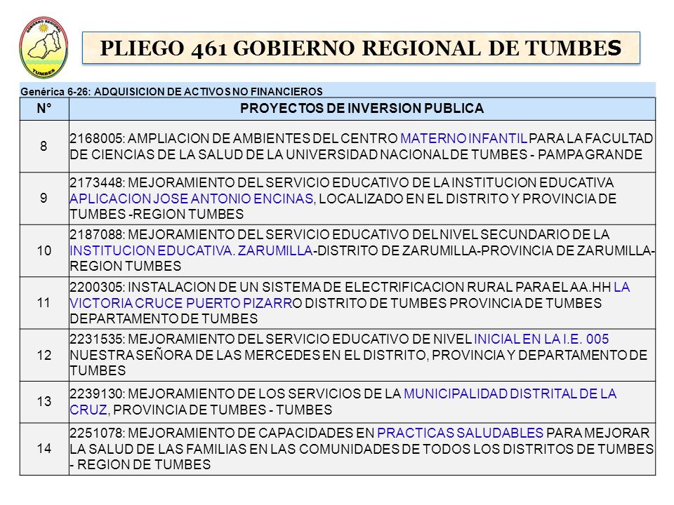 PLIEGO 461 GOBIERNO REGIONAL DE TUMBES PROYECTOS DE INVERSION PUBLICA