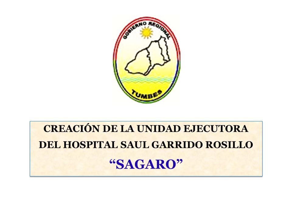 CREACIÓN DE LA UNIDAD EJECUTORA DEL HOSPITAL SAUL GARRIDO ROSILLO