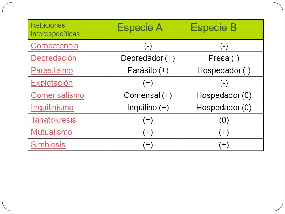 Especie A Especie B Competencia (-) Depredación Depredador (+)