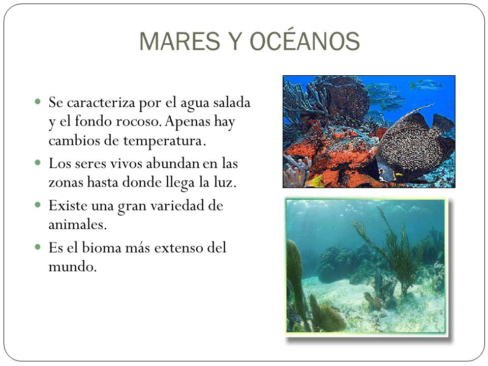MARES Y OCÉANOS Se caracteriza por el agua salada y el fondo rocoso. Apenas hay cambios de temperatura.