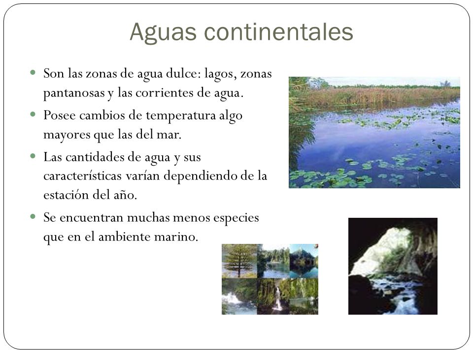 Aguas continentales Son las zonas de agua dulce: lagos, zonas pantanosas y las corrientes de agua.