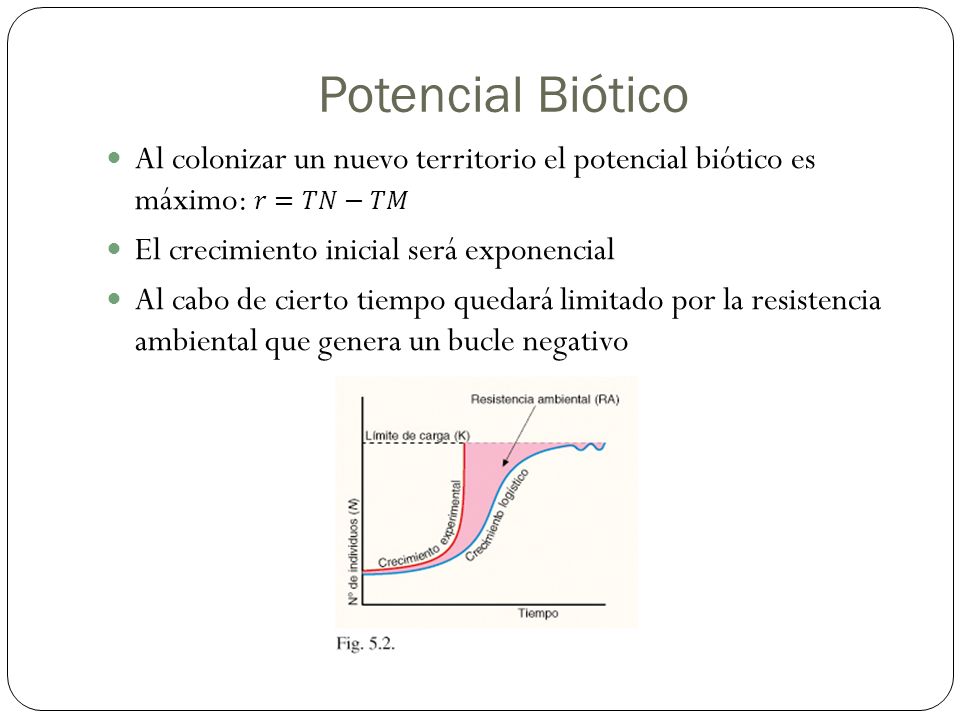 Potencial Biótico Al colonizar un nuevo territorio el potencial biótico es máximo: 𝑟=𝑇𝑁−𝑇𝑀. El crecimiento inicial será exponencial.