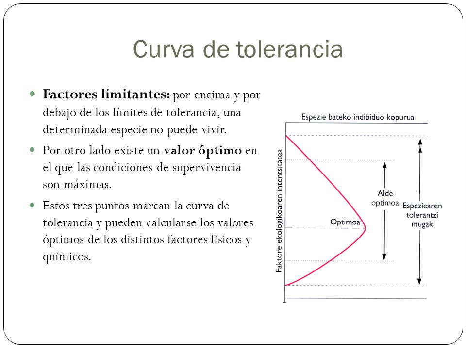 Curva de tolerancia Factores limitantes: por encima y por debajo de los límites de tolerancia, una determinada especie no puede vivir.